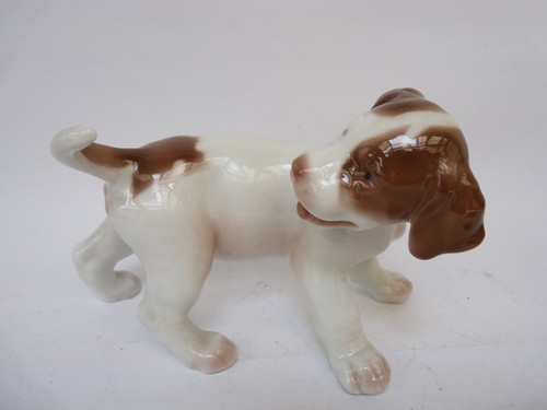 Chiot pointer porcelaine bing - chiot,