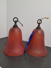 Paire de grandes tulipes en