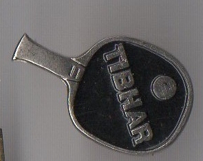 Pin tibhar - (ping, pong)
