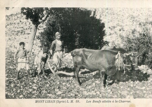 Carte syrie liban mont - carte,