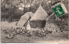 THEMES - AGRICULTURE - on the farm a turkey keeper