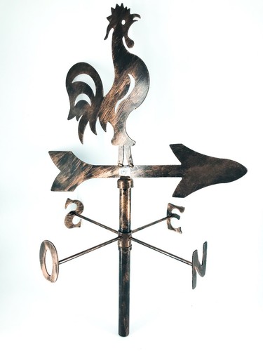 Coq jeune - coq, en