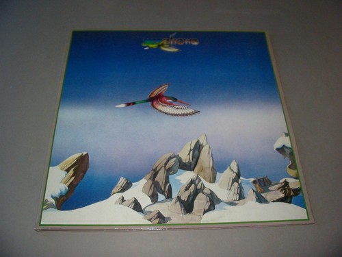 Yes yesshows - yes,