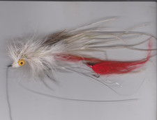 Pêche carnassier : Pas de