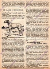 LE BRAQUE DU BOURBONNAIS DOG PRESS ARTICLE 1927 DOG