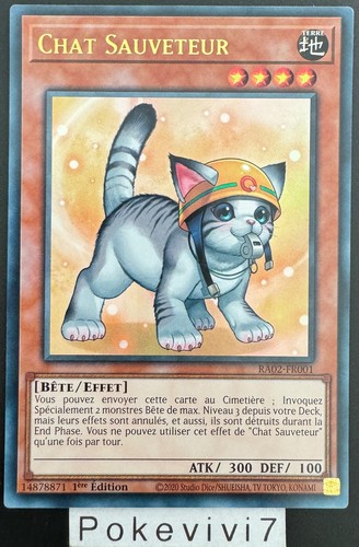 Carte chat sauveteur - chat,