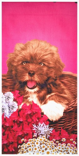 30x60 cute puppy - 30x60", premium