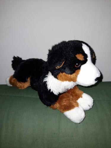 Bouvier bernois chien - 💥bouvier,