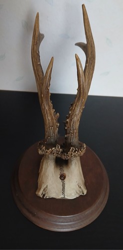 Trophée chasse cornes - trophée,