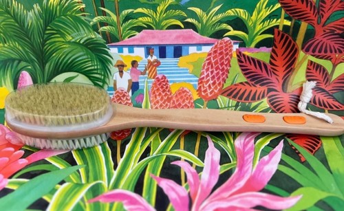 Brosse dos douche double - à,
