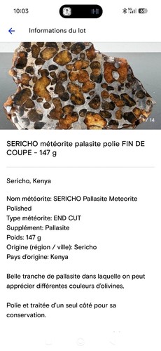 Météorite pallasite - météorite,