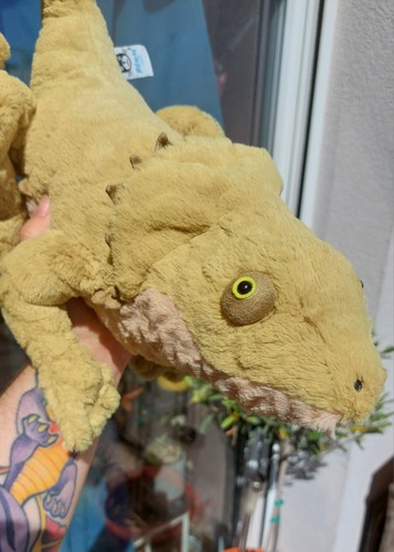 Logan lizard gecko chameleon - logan,