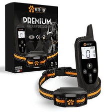 Collier Dressage Chien