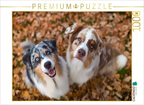Puzzle calvendo les - calvendo,