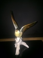 KARL ENS - OISEAU EXOTIQUE