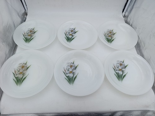 Assiettes creuses arcopal - 6,