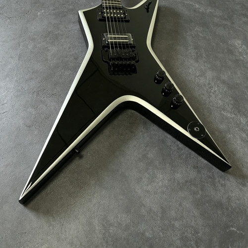 Ship from washburn dimebag - ship,