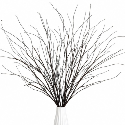 Rainflow curly willow branches - rainflow,