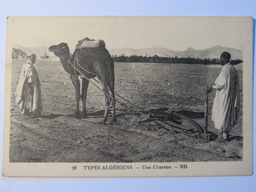 10c19 ancienne cpa - ancienne, carte