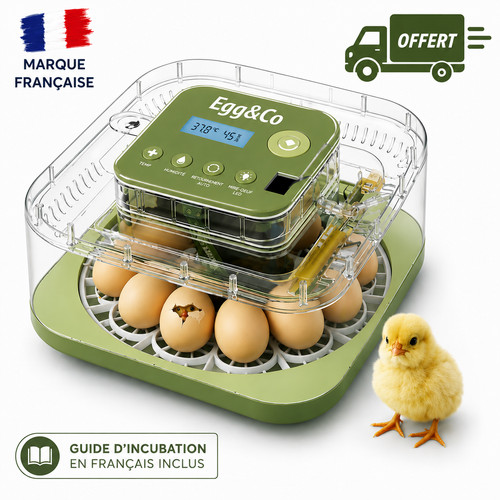 Egg couveuse incubateur - egg&co,