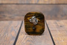 Amstaff Type 4 - Cintre En