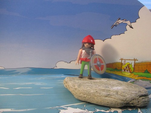 Playmobil viking gaulois - /,