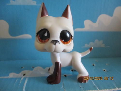 Petshop chien dogue - petshop,