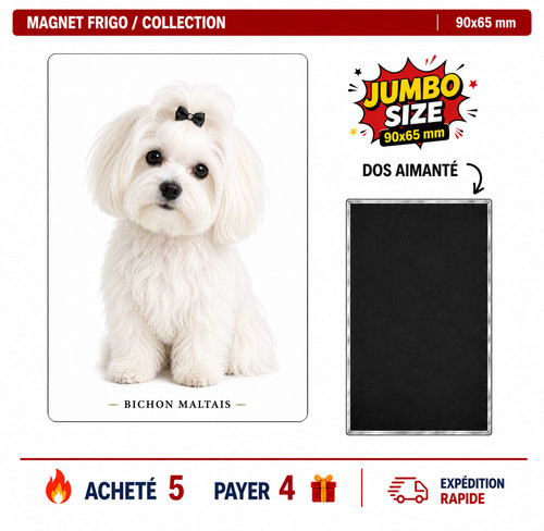 Magnet bichon maltais - magnet,