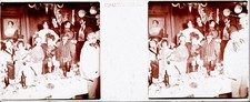 Party c. 1910 - Stereo Glass Costumed Meals Brothel Ambiance - D 48