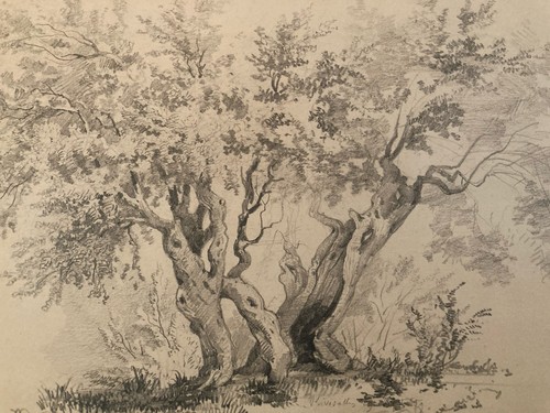 Dessin ancien rivesaltes - dessin,