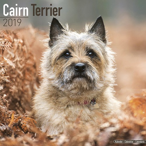 Calendrier 2019 cairn - -,