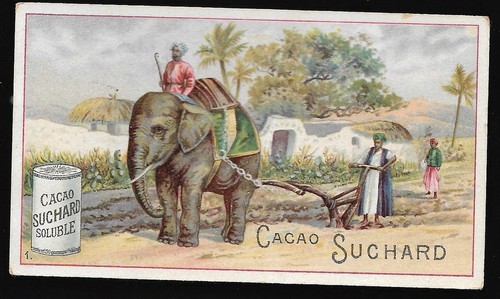 Labourer avec éléphant - labourer,