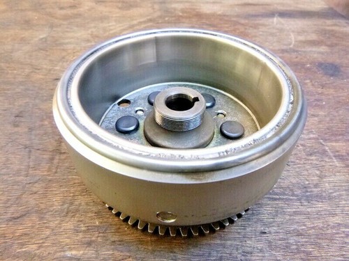 Rotor alternateur scooter - rotor,