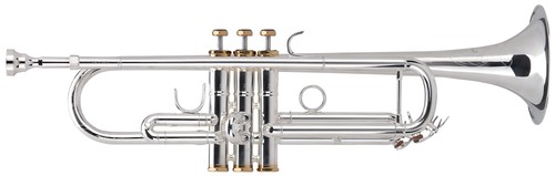 Lechgold trompette sib - trompette,