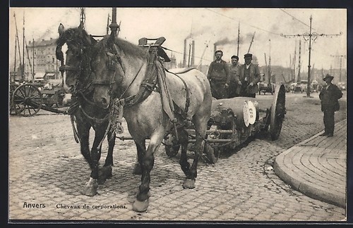 Cpa anvers chevaux de - cpa, anvers,