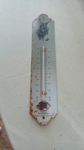 Thermomètre décoratif ane - thermomètre,