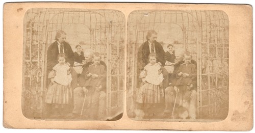 Family group scene - family, a