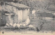 FANCY POSTCARD / OUR COUNTRYSIDE / FAMILY BREAKFAST / PIG