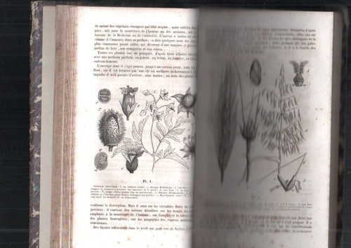 Rare journal medecine - journal,