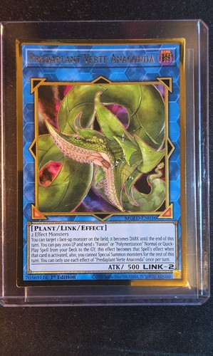 Predaplant verte anaconda - predaplant,