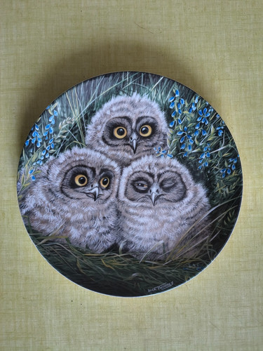 Assiette the baby - assiette,