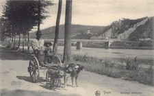 Belgium - YVOIR (Namur) dog car - dog cart - Ardennes crew - Ed.