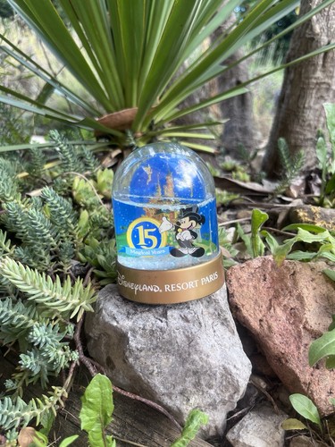 Disney snow globe disneyland