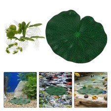  Plantes Flottantes Pour