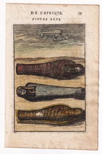 Gravure XVIIe Momie Mummy