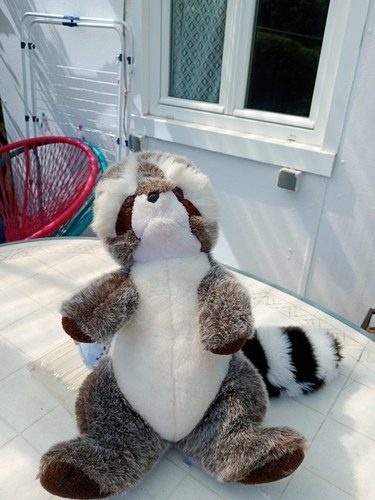 Peluche vintage raton laveur - peluche,