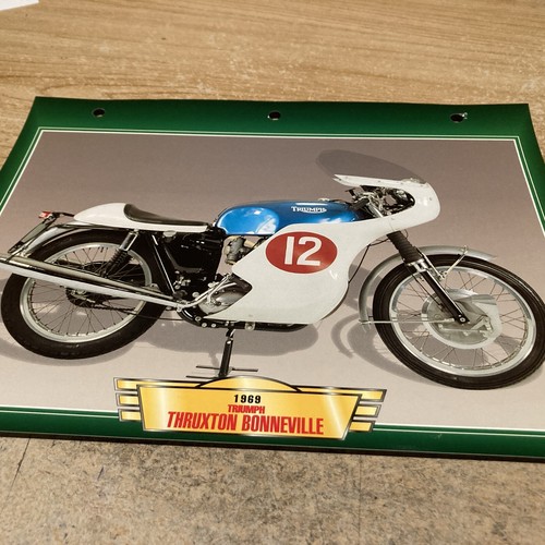 Triumph 650 thruxton - triumph,