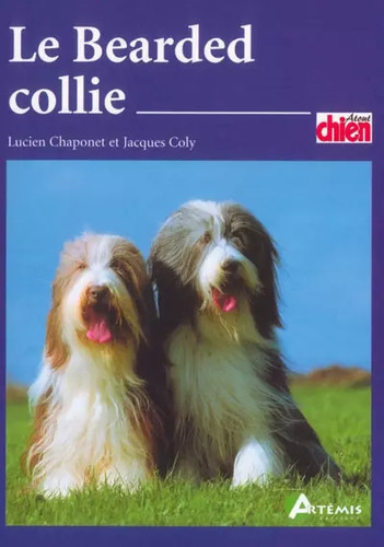 Bearded collie lucien - le, collie,