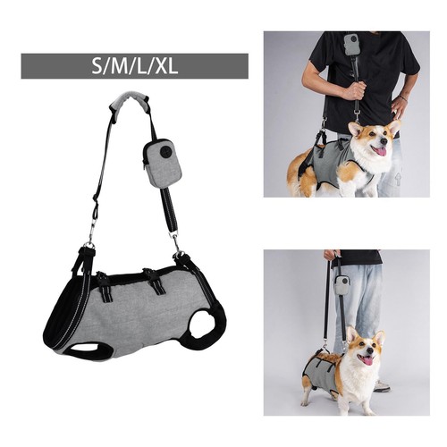 Harnais levage pour chien - harnais, de