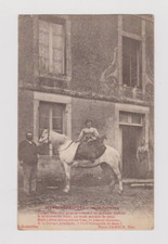 Old postcard Norman scenes young farmer and the mare - Henri ERMICE, Vire - ref 346